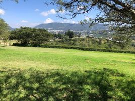  Terreno (Parcela) en venta en Cumbaya, Pichincha, Cumbaya