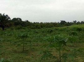  Grundstück zu verkaufen in Guayaquil, Guayas, Guayaquil, Guayaquil