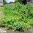  Terreno (Parcela) en venta en Ngaglik, Yogyakarta, Ngaglik, Sleman
