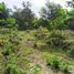  Terreno (Parcela) en venta en Ngaglik, Yogyakarta, Ngaglik, Sleman