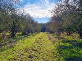  Land for sale in Chile, Lampa, Chacabuco, Santiago, Chile