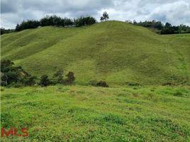  Terreno (Parcela) en venta en Retiro, Antioquia, Retiro