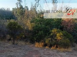  Terreno (Parcela) en venta en Chile, Quilpue, Valparaíso, Valparaíso, Chile