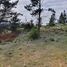  Terreno (Parcela) en venta en Maule, Yerbas buenas, Linares, Maule