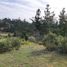  Terreno (Parcela) en venta en Maule, Yerbas buenas, Linares, Maule