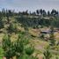  Terreno (Parcela) en venta en Maule, Yerbas buenas, Linares, Maule