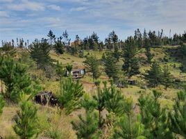  Terreno (Parcela) en venta en Maule, Yerbas buenas, Linares, Maule