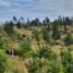  Land for sale in Yerbas Buenas, Maule, Yerbas Buenas, Linares