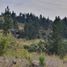  Terreno (Parcela) en venta en Maule, Yerbas buenas, Linares, Maule