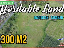  Tanah for sale in Selemadeg, Tabanan, Selemadeg