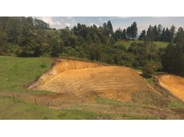  Grundstück zu verkaufen in Guarne, Antioquia, Guarne