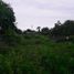  Land for rent in Nuble, Chillan, Diguillin, Nuble