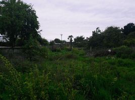  Land for rent in Diguillin Nuble, Chillan, Diguillin, Nuble