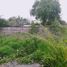  Land for rent in Diguillin Nuble, Chillan, Diguillin, Nuble