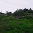  Land for rent in Diguillin Nuble, Chillan, Diguillin, Nuble