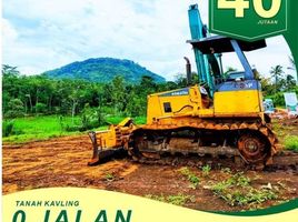  Land for sale in Probolin, East Jawa, Mayangan, Probolin