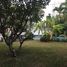 4 Bedroom Villa for rent in An Phu, Ho Chi Minh City, An Phu, District 2
