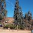  Land for sale in Chile, Quilpue, Valparaiso, Valparaiso, Chile