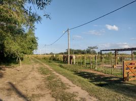  Terrain for sale in Primero De Mayo, Chaco, Primero De Mayo