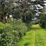 Studio Villa for sale in Jaramillo, Chiriqui, Jaramillo, Boquete, Chiriqui
