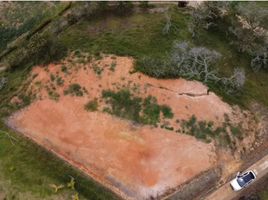  Terreno (Parcela) en venta en El Carmen De Viboral, Antioquia, El Carmen De Viboral