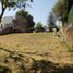  Terreno (Parcela) en venta en Huitzilac, Morelos, Huitzilac