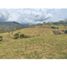  Land for sale in La Mesa, Cundinamarca, La Mesa