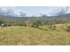  Terreno (Parcela) en venta en La Mesa, Cundinamarca, La Mesa