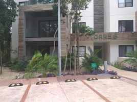 2 Schlafzimmer Appartement zu vermieten in Cozumel, Quintana Roo, Cozumel