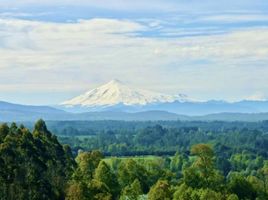  Terreno (Parcela) en venta en Chile, Villarrica, Cautín, Araucanía, Chile