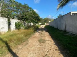  Grundstück zu verkaufen in Tixpehual, Yucatan, Tixpehual