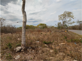 Terrain à vendre à Tixpehual, Yucatan, Tixpehual