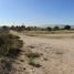  Land for sale in Soledad De Graciano Sanchez, San Luis Potosi, Soledad De Graciano Sanchez