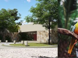  Grundstück zu verkaufen in Conkal, Yucatan, Conkal