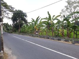  Terreno (Parcela) en venta en Seyegan, Yogyakarta, Seyegan