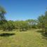  Land for sale in Montemorelos, Nuevo Leon, Montemorelos, Nuevo Leon, Mexico