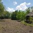  Land for sale in Montemorelos, Nuevo Leon, Montemorelos, Nuevo Leon, Mexico
