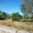  Land for sale in Montemorelos, Nuevo Leon, Montemorelos, Nuevo Leon, Mexico