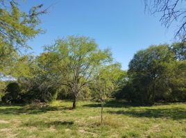  Land for sale in Montemorelos, Nuevo Leon, Montemorelos, Nuevo Leon, Mexico
