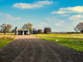  Terreno (Parcela) en venta en Maule, Pelarco, Talca, Maule