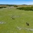  Terreno (Parcela) en venta en Chile, Coihaique, Coihaique, Aisén del General Carlos Ibáñez del Campo, Chile