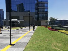 782.62 m2 Office for rent in Naucalpan De Juarez, Mexico, Naucalpan De Juarez