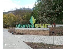  Grundstück zu verkaufen in Arteaga, Coahuila, Arteaga