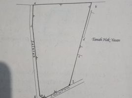  Land for sale in Lumajang, East Jawa, Pasirian, Lumajang