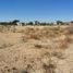  Terreno (Parcela) en venta en Cuautla, Morelos, Cuautla, Morelos