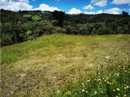 Terrain à vendre à Retiro, Antioquia, Retiro
