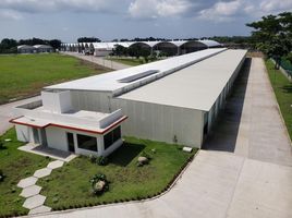 Estudio Casa en alquiler en Chiapas, Tapachula, Chiapas