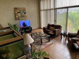 Maison 4 chambre à vendre à San Luis Potosi, San Luis Potosi, San Luis Potosi, San Luis Potosi