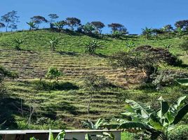  Land for sale in Manizales, Caldas, Manizales