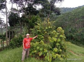  Land for sale in Bogor Selatan, Bogor, Bogor Selatan